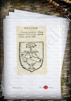 velin-d-Arches-ORCEOLI_Forli, Romagna._Italia