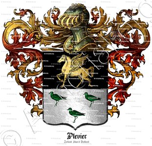 PLEVIER