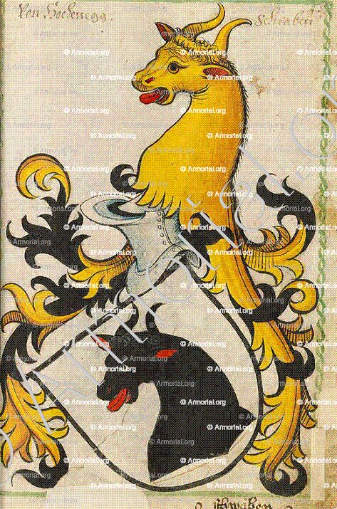 HOHENEGG_Scheiblersches Wappenbuch._Deutschland (i)