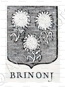 BRINONJ