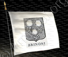 drapeau-BRINONJ_Incisione a bulino del 1756._Europa