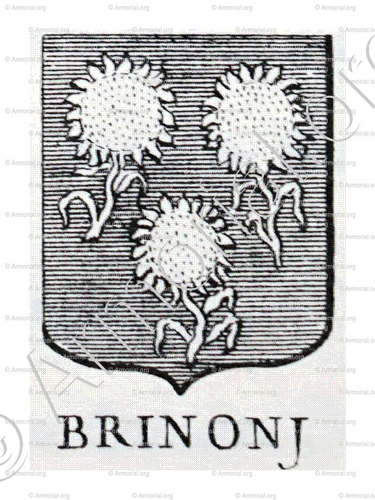 BRINONJ_Incisione a bulino del 1756._Europa