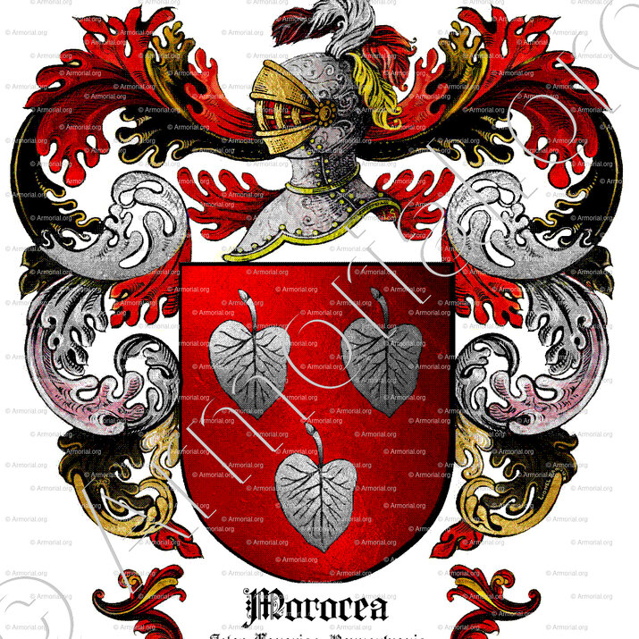 MOROCEA_Islas Canarias, Pennsylvania._España, United States of America. (ii)