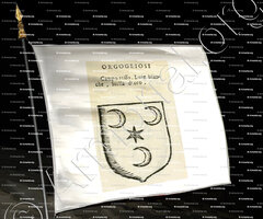 drapeau-ORGOGLIOSI_Forli, Romagna._Italia