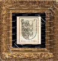 cadre-ancien-or-TROPPAU_Schlesien 1897_Deutsch heraldischen Stil.