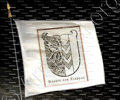 drapeau-TROPPAU_Schlesien 1897_Deutsch heraldischen Stil.
