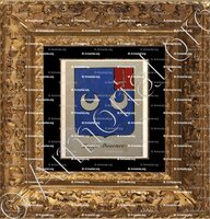 cadre-ancien-or-MANGIN DOUENCE_Noblesse d'Empire._France