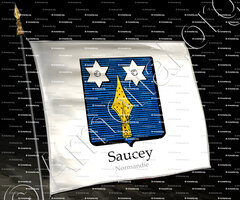 drapeau-SAUCEY_Normandie_France (3)