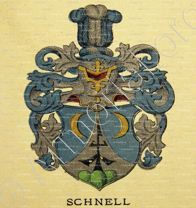 SCHNELL_Wappenbuch der Stadt Basel . B.Meyer Knaus 1880_Schweiz 