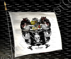 drapeau-van VEGHEL_Noord-Brabant_Nederland  (+)