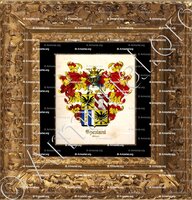 cadre-ancien-or-SPEZIANI_Milano_Italia (1)