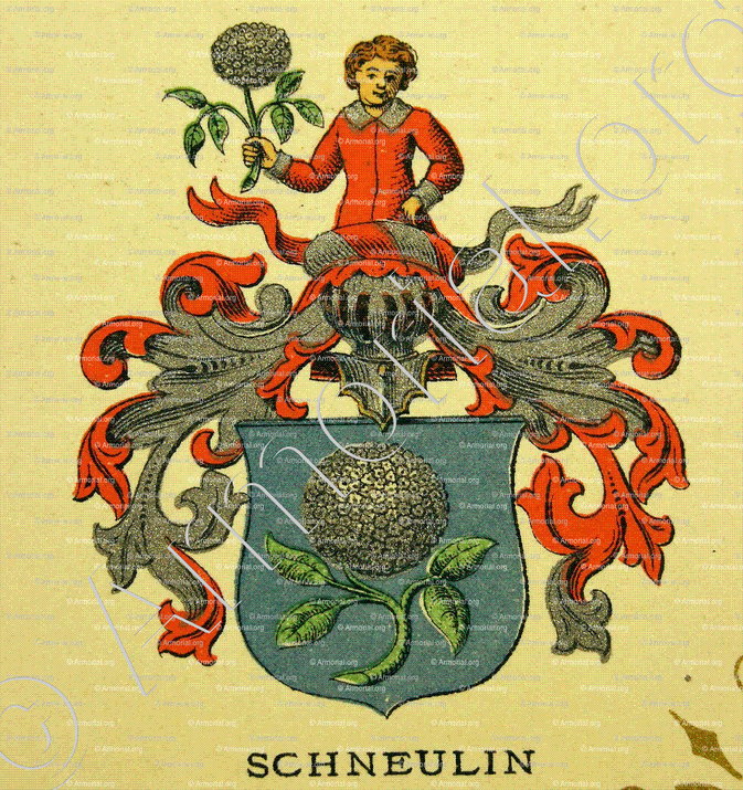 SCHNEULIN_Wappenbuch der Stadt Basel . B.Meyer Knaus 1880_Schweiz 