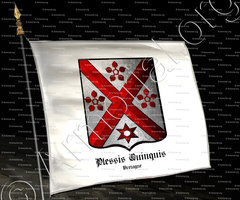 drapeau-PLESSIS QUINQUIS_Bretagne_France (i)