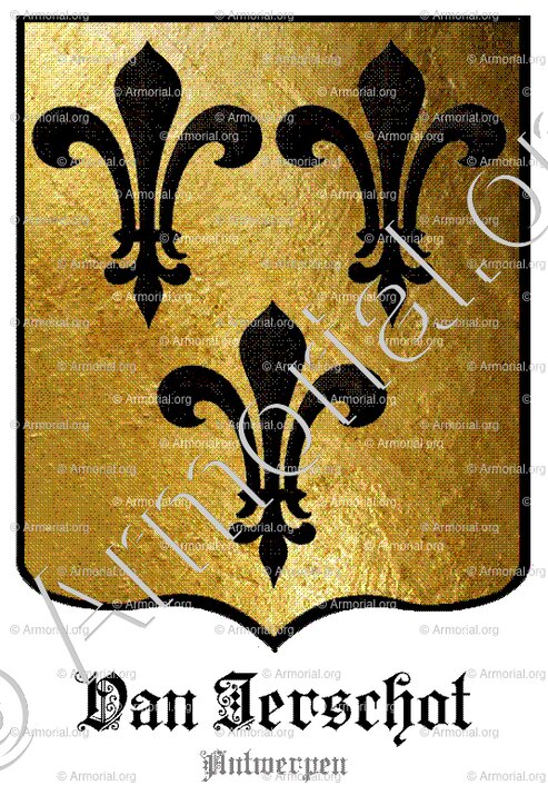 VAN IERSCHOT_Antwerpen_België (1)