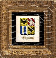 cadre-ancien-or-SPEZIANI_Milano_Italia (2)