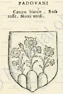 PADOVANI