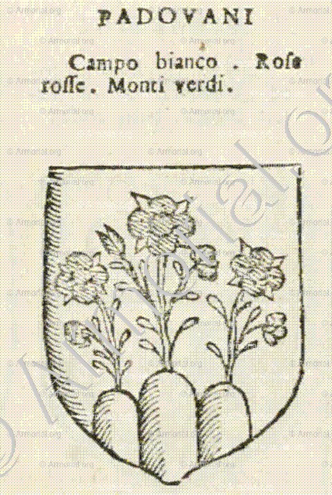 PADOVANI_Forli, Romagna._Italia