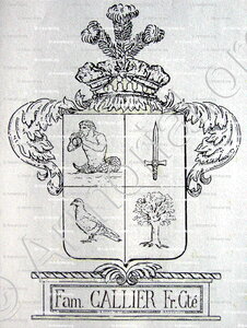 CALLIER