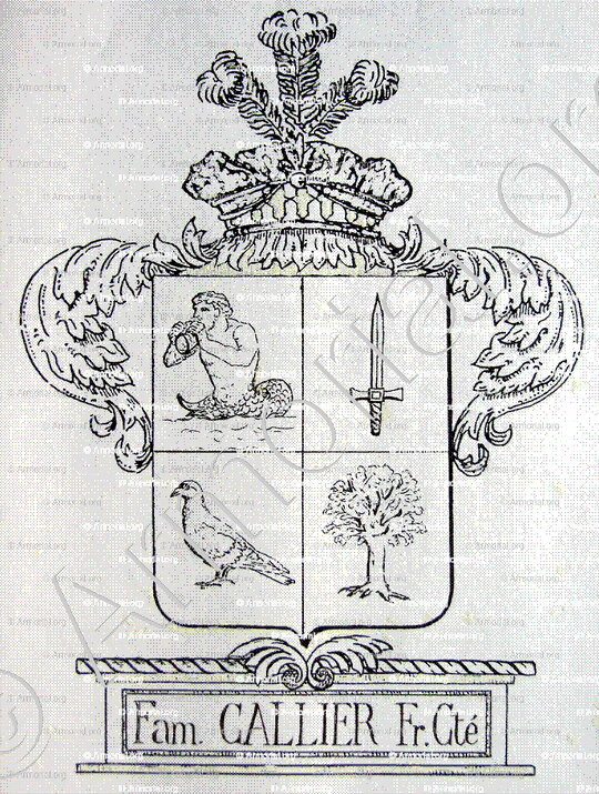 CALLIER_Franche-Comté_France (i)