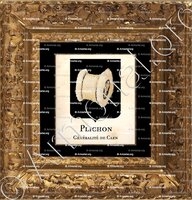 cadre-ancien-or-PLICHON_Caen Normandie_France