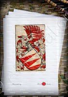 velin-d-Arches-WENDEL von HAILFINGEN_Das Scheiblersche Wappenbuch (Bayerische Staatsbibliothek)._Deutschland