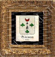 cadre-ancien-or-PLICHON_Forez_France