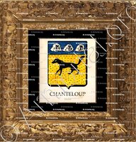 cadre-ancien-or-CHANTELOUP_Maine_France (3)