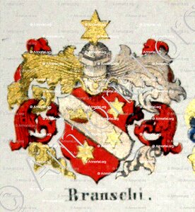 BRANSCHI