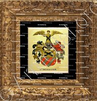 cadre-ancien-or-SCHÖNAUER_Wappenbuch der Stadt Basel . B.Meyer Knaus 1880_Schweiz 