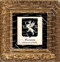 cadre-ancien-or-PLICHON_Rouen Normandie_France