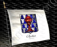 drapeau-BOITIER_Lyonnais_France (1)