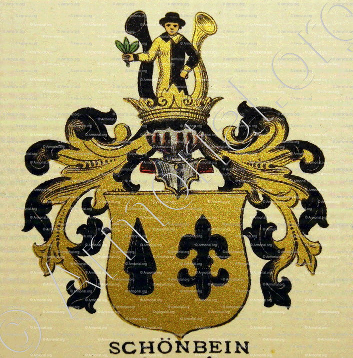 SCHÖNBEIN_Wappenbuch der Stadt Basel . B.Meyer Knaus 1880_Schweiz 
