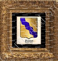 cadre-ancien-or-PLUVINEL_Dauphiné, Forez._France (i)