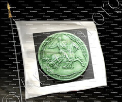 drapeau-Amédée V de SAVOIE_1285-1323. Sceau au Château des ducs de Savoie. Chambéry_France