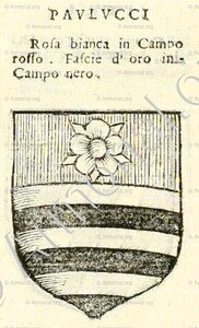 PAULUCCI