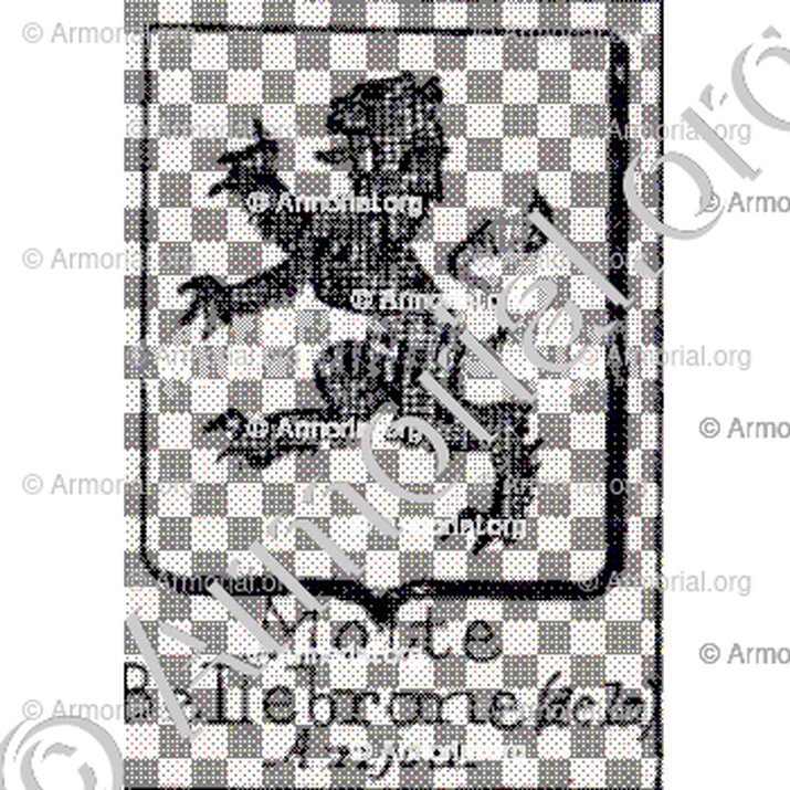 Motte Bellebrone (de la)__