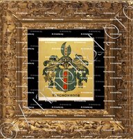 cadre-ancien-or-SCHÖNEGGE_Wappenbuch der Stadt Basel . B.Meyer Knaus 1880_Schweiz 