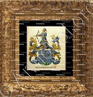 cadre-ancien-or-SCHORNDORFF_Wappenbuch der Stadt Basel . B.Meyer Knaus 1880_Schweiz 