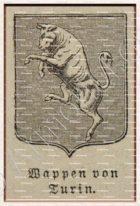 Von TURIN