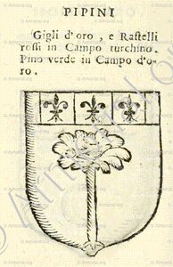 PIPINI