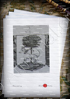 velin-d-Arches-PY_Venezia, Veneto, Repubblica di Venezia_Italia (i)