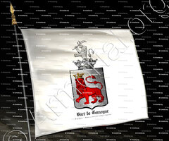 drapeau-BARE de COMOGNE_Pays de Namur; Barons 14, avril 1827, Vicomtes 1 août 1848._Royaume des Pays-Bas Belgique (2)