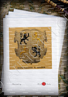 velin-d-Arches-SCHUHMACHER_Wappenbuch der Stadt Basel . B.Meyer Knaus 1880_Schweiz 