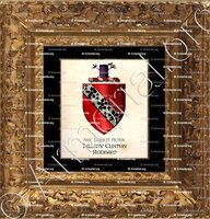 cadre-ancien-or-HILLARY CLINTON RODHAM_Motto Nec deficit alter._England (2)