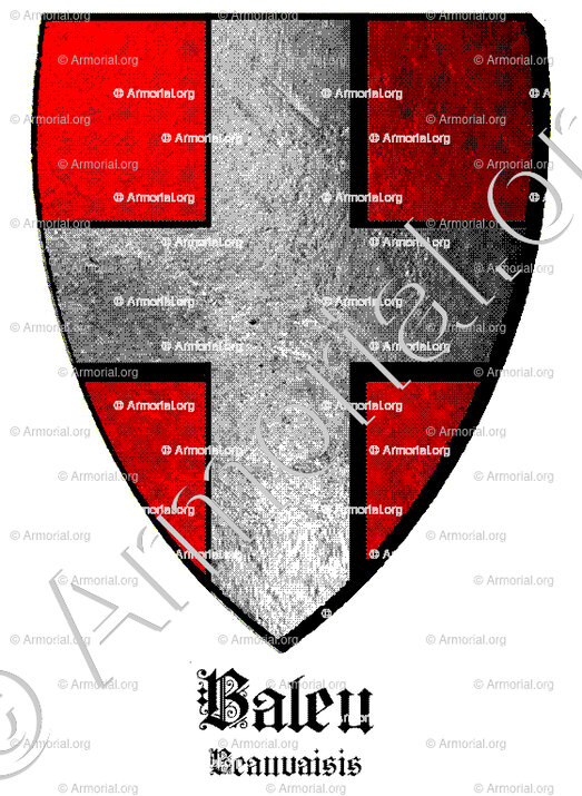 BALEU_Beavaisis_France (i)