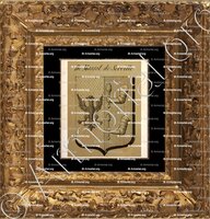 cadre-ancien-or-DE MASSOL DE SERVILLE_Auvergne_France