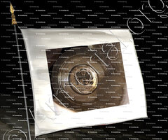 drapeau-CHAMBERY & ANNECY_Armes des Deux Savoie, A la République Suisse. Château de Chambéry_France