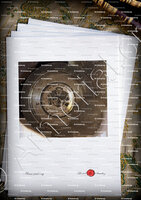 velin-d-Arches-CHAMBERY & ANNECY_Armes des Deux Savoie, A la République Suisse. Château de Chambéry_France