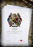 velin-d-Arches-COLLEONI_Venezia_Italia