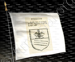 drapeau-PUNGETTI_Forli, Romagna._Italia